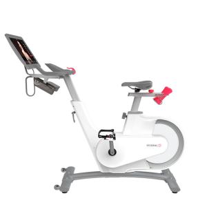 Купить Велотренажер Yesoul BV1-W PLUS в Мышкине 